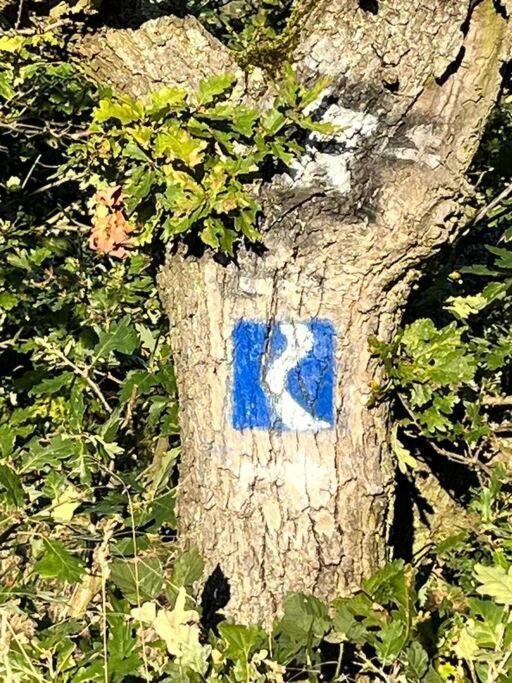Rheinauszeit Leilighet Rheinbrohl Eksteriør bilde